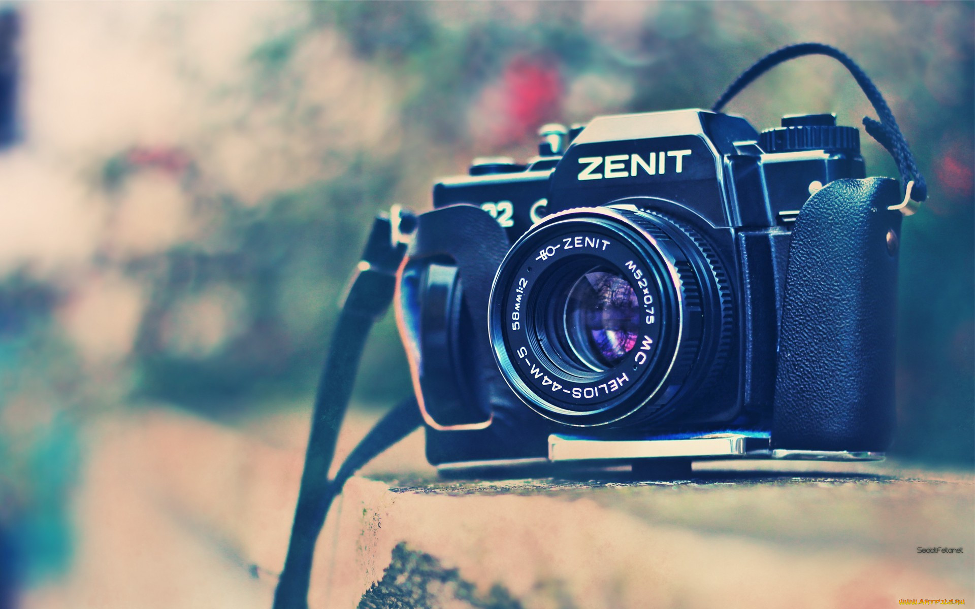 , , , , , zenit